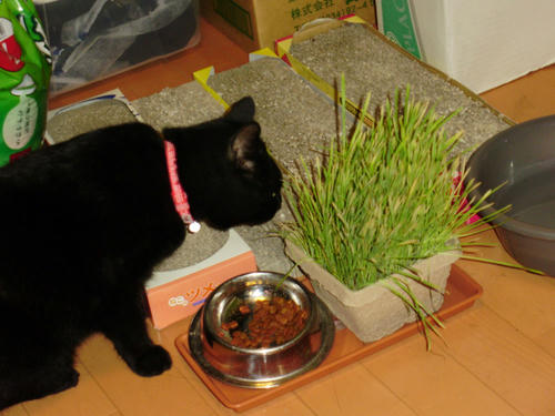 P6100001.JPG