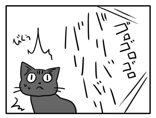73149588.png