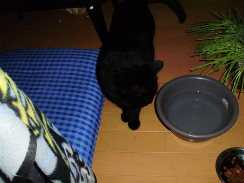 P7020003.JPG