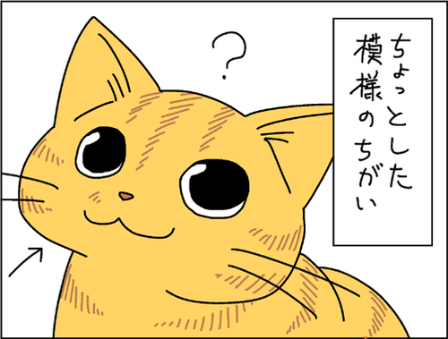 12581d51.png