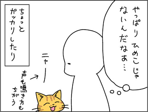 95d52c69.png
