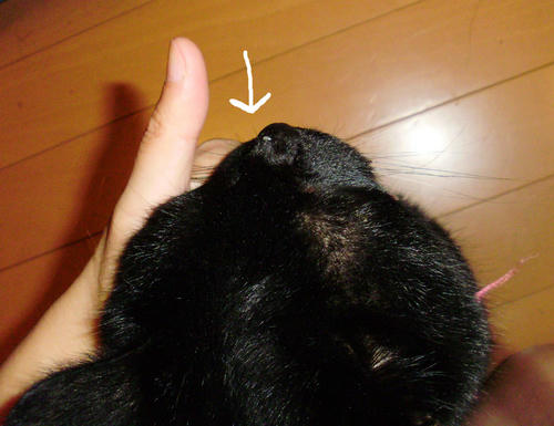 3a9c234e.JPG