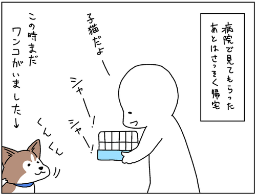 614274d2.png