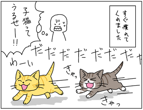 04060900.png