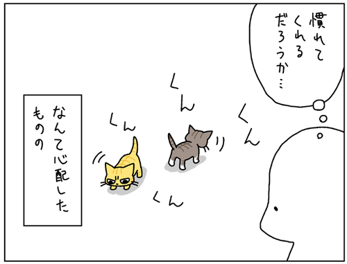 7dda00e9.png
