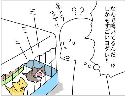 179d49d4.png