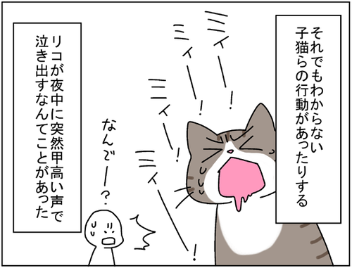 page0002.png