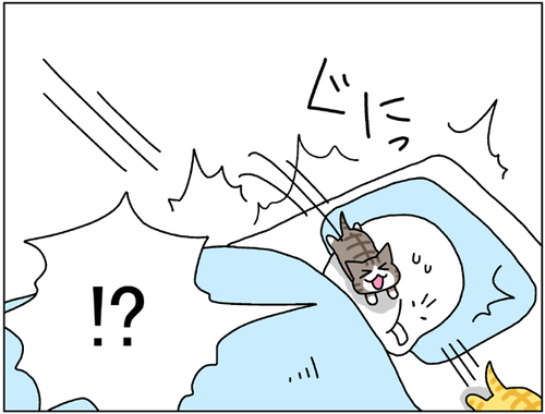 3f55a255.png