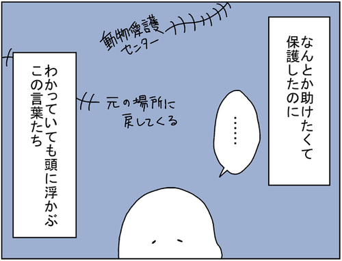 9bd76917.png