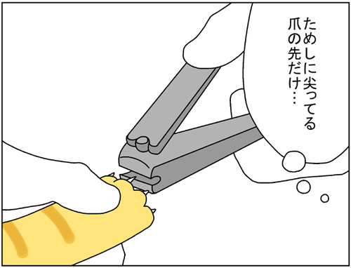 9b18cca2.png