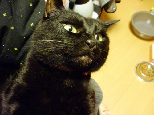PB030004.JPG