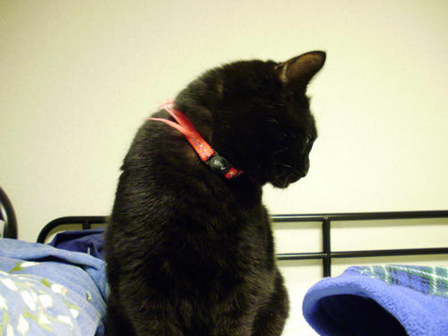 PB030010.JPG