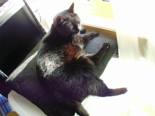 PC050006.JPG