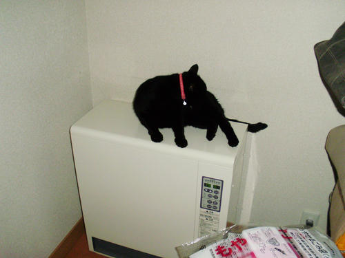 PC100004.JPG