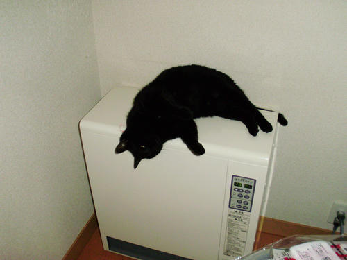 PC100005.JPG