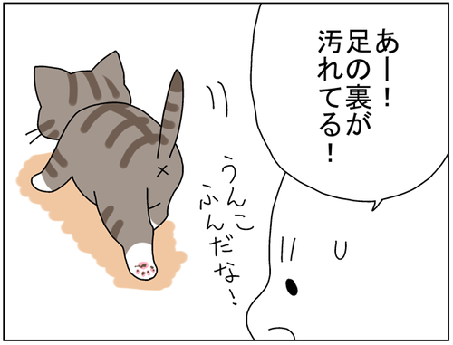 2f66baf8.png