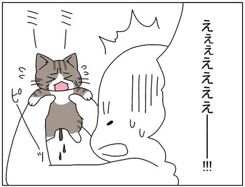 e11042dc.png
