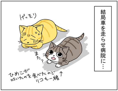 3f41c095.png