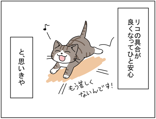 27e808c8.png
