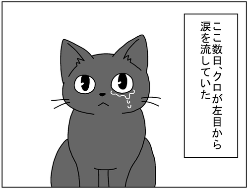 7e52c722.png