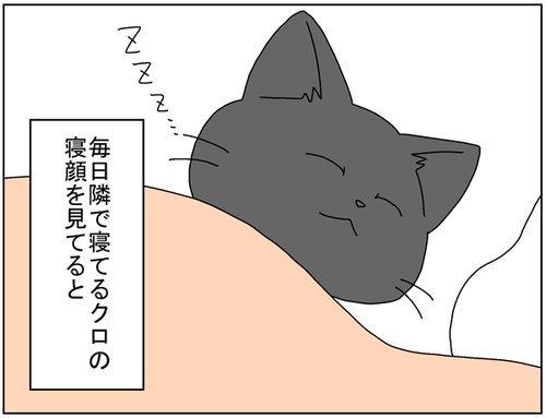 73361d36.png
