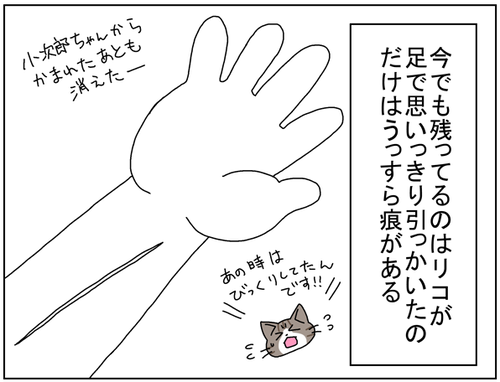 2dd3e910.png