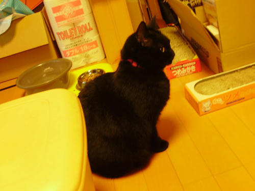 P4200021.JPG