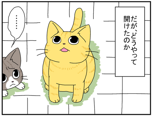 68050d6e.png