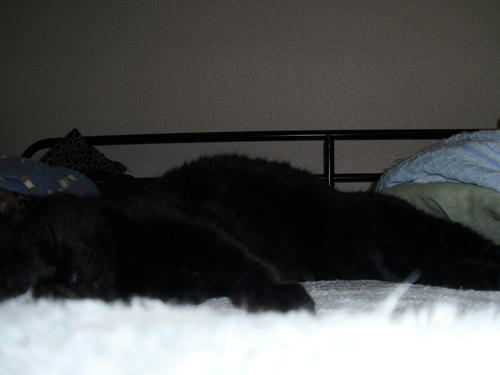 P5120002.JPG