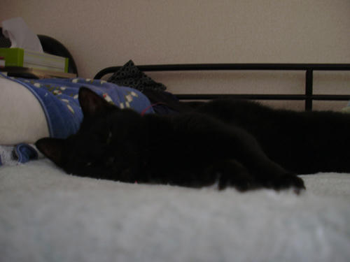 P5120004.JPG