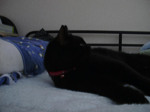 P5120005.JPG