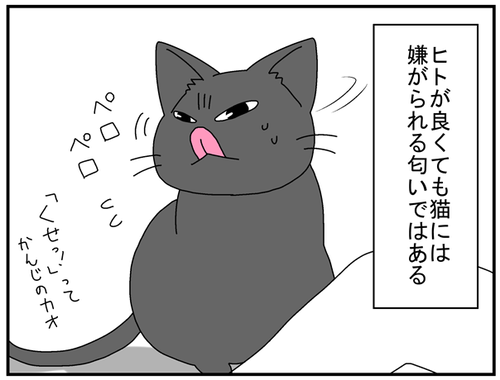 e6f78481.png