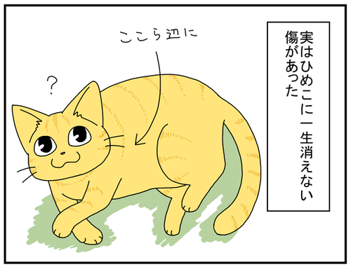 453af7f9.png