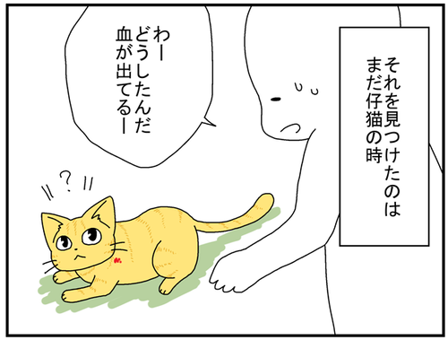 0543614f.png