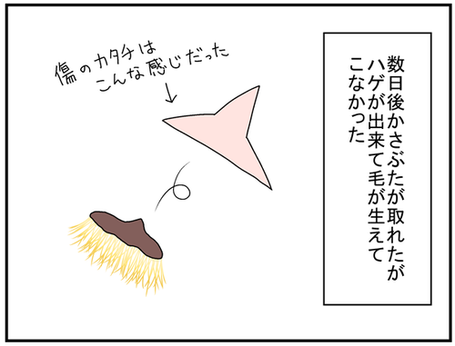 e0e7bff3.png