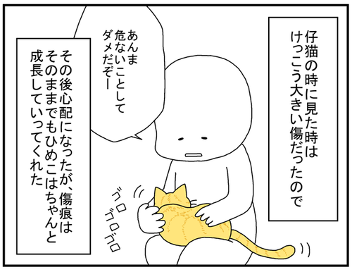 4b4fc77d.png