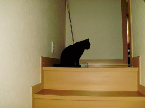 P7120005.JPG