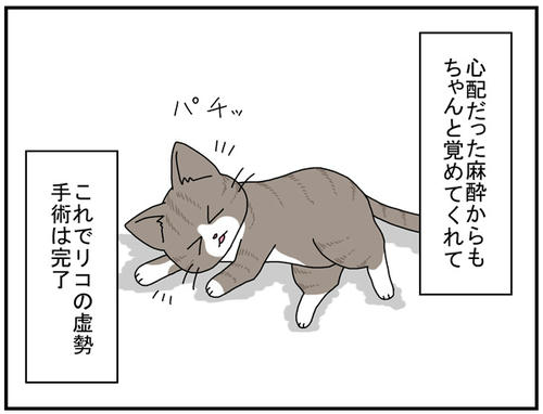 11a2f197.jpg