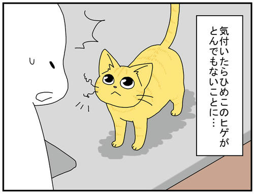 867d7f7d.jpg