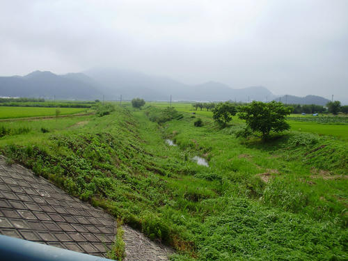 P7250005.JPG