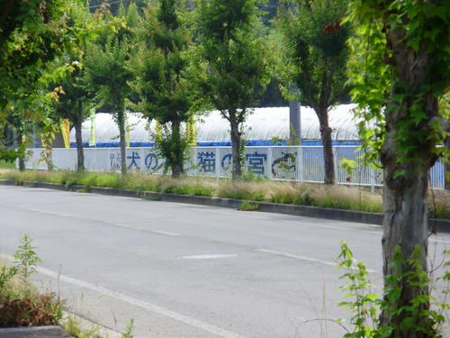 P7250010.JPG