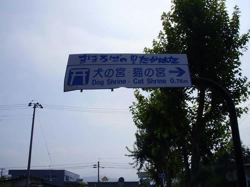 P7250012.JPG