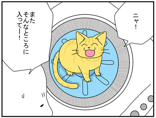 faa1df65.jpg
