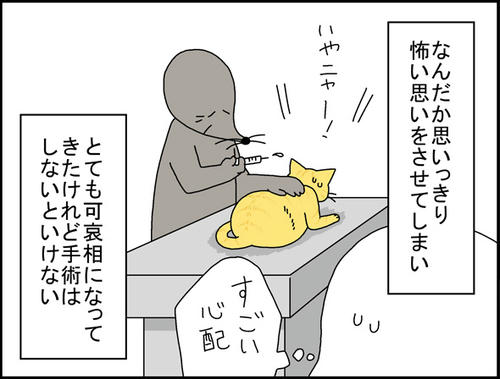 3f6b06ca.jpg