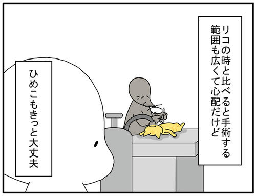 a0ff30ab.jpg