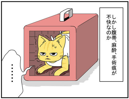 cf1184d6.jpg