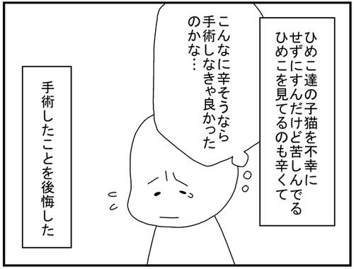 57194182.jpg
