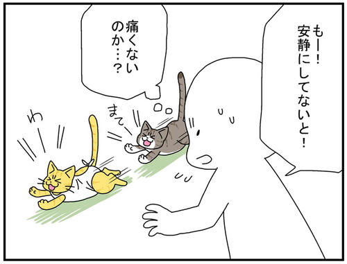 96c7a576.jpg