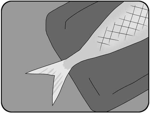 9f820cfe.jpg