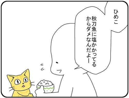 dce043ca.jpg